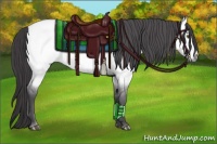 Horse Color:Platinum Buckskin Roan Dun 