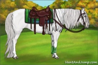 Horse Color:Platinum Red Dun Roan Tobiano 