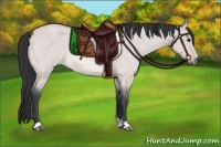 Horse Color:Platinum Bay Roan Dun