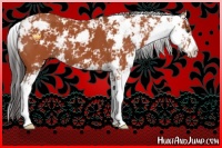 Horse Color:Bay Sabino