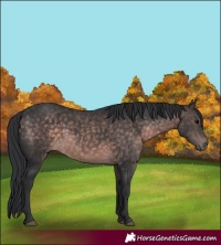 Horse Color:Platinum Brown 