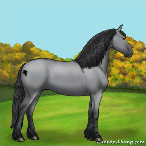 Horse Color:Grullo Chinchilla 
