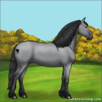 Horse Color:Grullo Chinchilla