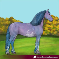 Horse Color:Watercolor Bay Dun Tobiano 