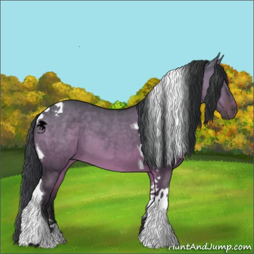 Horse Color:Bay Dun Tobiano 