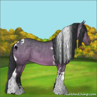 Horse Color:Bay Dun Tobiano 