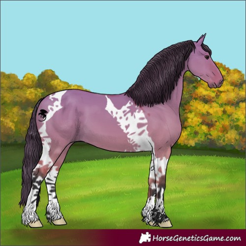 Horse Color:Bay Dun Tobiano 