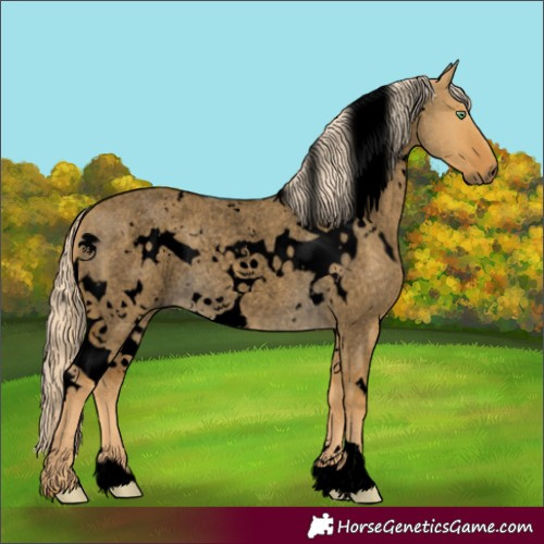 Horse Color:Void White Spotted Palomino Roan Dun 