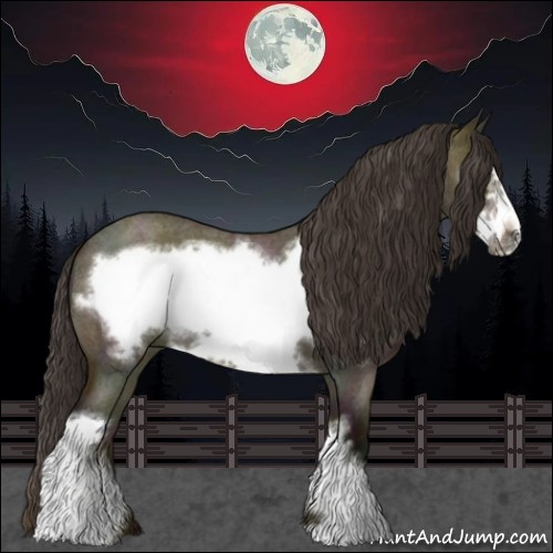 Horse Color:Midnight Buckskin Ice Roan Dun Frame 