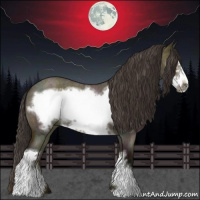 Horse Color:Midnight Buckskin Ice Roan Dun Frame 
