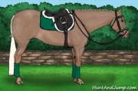 Horse Color:Red Roan Mushroom 