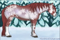 Horse Color:Watercolor Liver Red Onyx Ice