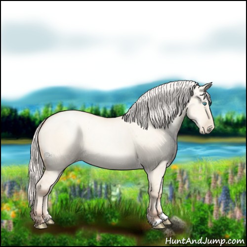 Horse Color:Silver Amber Cream Champagne Pearl Dun 