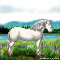 Horse Color:Silver Amber Cream Champagne Pearl Dun