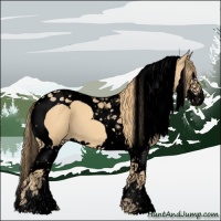 Horse Color:Void Gold Champagne Splash Tobiano 