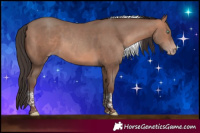 Horse Color:Sable Champagne Tobiano Rabicano 