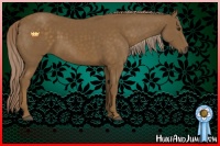 Horse Color:Chocolate Palomino 
