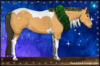 Horse Color:Buckskin Tobiano