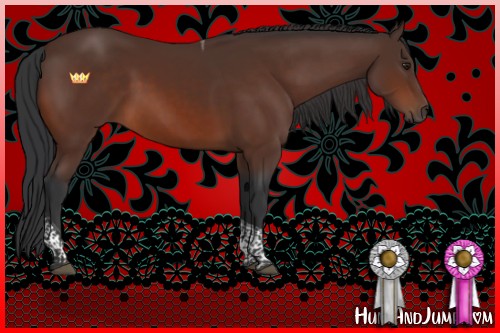 Horse Color:Brown Tobiano 