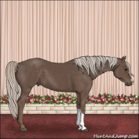 Horse Color:Silver Black 