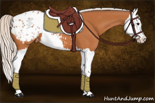 Horse Color:Silver Bay Splash Blanket 