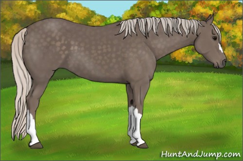 Horse Color:Silver Black 