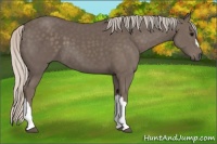 Horse Color:Silver Black 