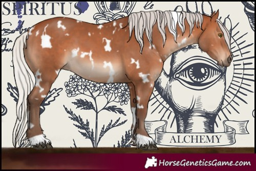 Horse Color:White Spotted Silver Bay 