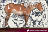 Horse Color:White Spotted Silver Bay 