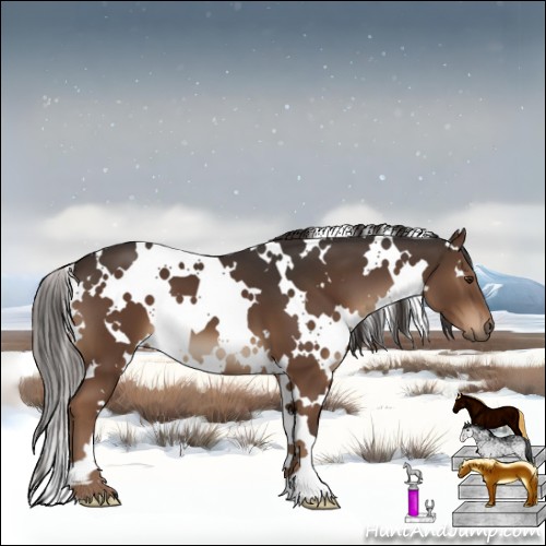 Horse Color:White Spotted Liver Chestnut