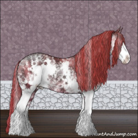 Horse Color:White Spotted Buckskin Ice Pearl Splash 
