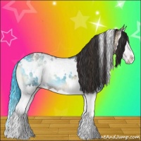 Horse Color:Plaid  White Spotted Liver Red Onyx Ice Splash 