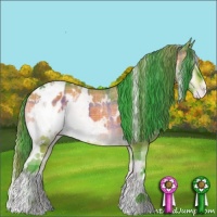 Horse Color:Watercolor Plaid  White Spotted Brown Onyx Varnish 