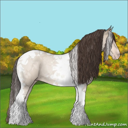 Horse Color:Amber Champagne Dun Tobiano Rabicano 