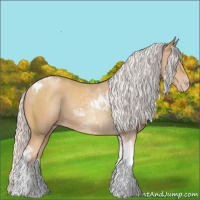 Horse Color:Silver Classic Champagne Tobiano Rabicano
