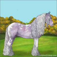 Horse Color:Watercolor Silver Grullo Tobiano Rabicano 
