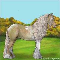 Horse Color:Watercolor Silver Black Tobiano 