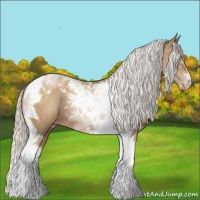 Horse Color:Silver Black Pearl Tobiano 