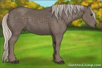 Horse Color:Silver Black 