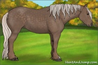 Horse Color:Silver Black 