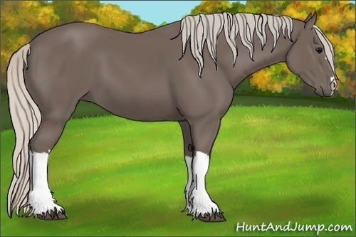 Horse Color:Silver Black 