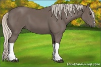 Horse Color:Silver Black 