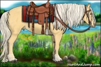 Horse Color:Palomino  and Palomino 