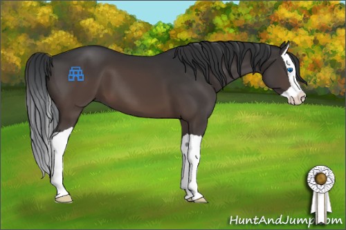 Horse Color:Brown Splash 