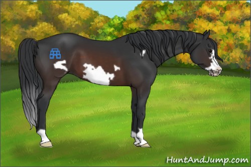 Horse Color:Brown Frame 