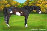 Horse Color:Brown Frame