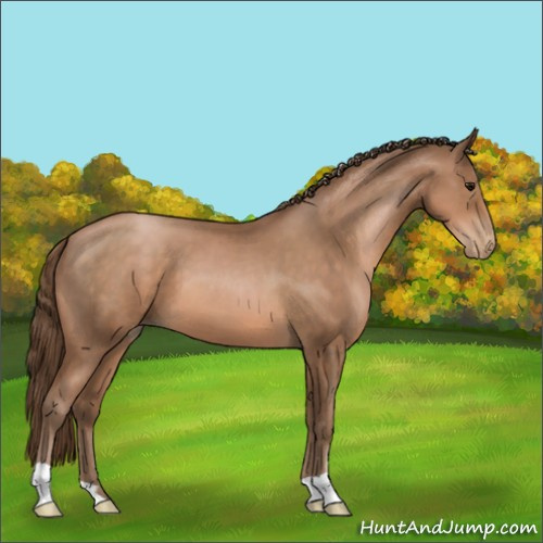 Horse Color:Brown Pearl 