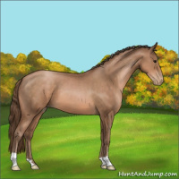Horse Color:Brown Pearl