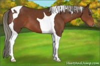 Horse Color:Liver Chestnut Tobiano 