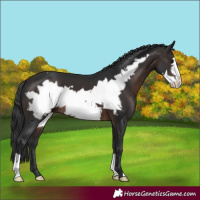 Horse Color:Brown Frame 